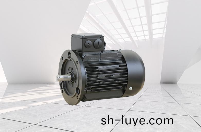 伺(ci)服電(dian)機(ji)